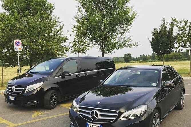 Private transfer from ROME to SORRENTO with 3 hours stopover in pompeii - Should You Book This Rome-to-Sorrento Private Transfer with Pompeii Stop?