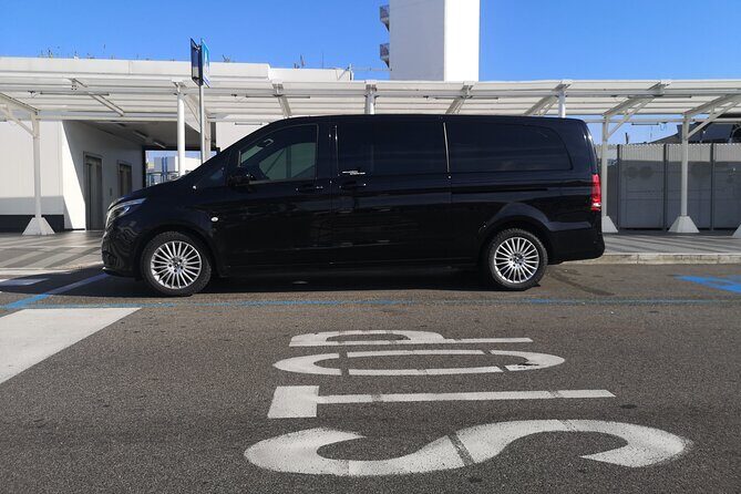 Private Transfer From/To Airport or Port or Rome city. - Flight delays and pickup timing: the big safety net