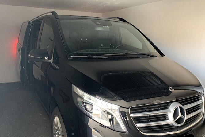 Private Transfer Naples to Sorrento with option of a Stop in Pompeii - Pompeii essentials for your stop: how to make the time count