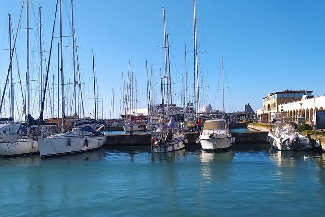 Private Transport from Civitavecchia Port to Rome or vice versa - Baggage rules, seat requests, and small gotchas that matter