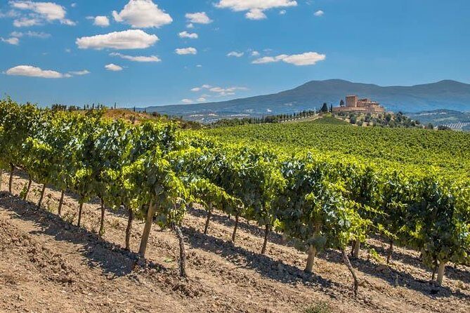 Private: Tuscany Day Tour from Rome with Optional Wine Tasting - Passing Monticchiello: countryside driving that adds texture