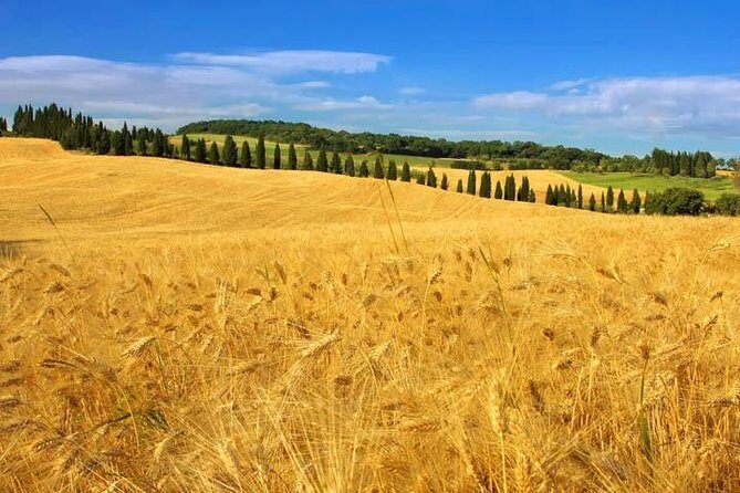 Private: Tuscany Day Tour from Rome with Optional Wine Tasting - Lunch in Pienza: not included, but the reservation help matters