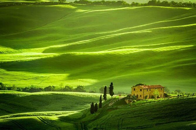 Private: Tuscany Day Tour from Rome with Optional Wine Tasting - Pick-up, timing, and how a private 10–11 hour day feels