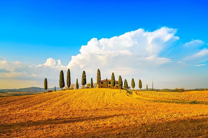 Private Tuscany Wine Country Day Trip from Rome with Lunch - Montepulciano: cobbled lanes, Vino di Nobile, and an underground tasting