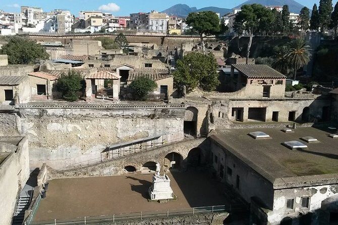 Private Walking Tour through the Historical City of Herculaneum - Who this private tour suits best