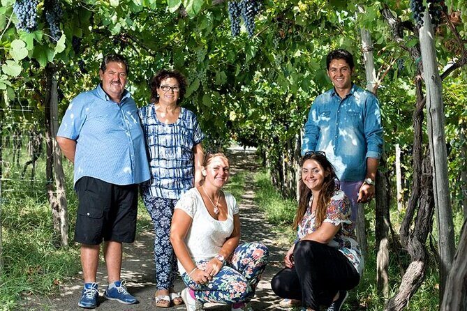 Private Wine Tour,lunch,8 wines, dedicated sommelier and trasport - Vesuvius Views: More Than a Pretty Photo Stop