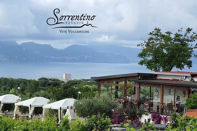 Private Wine Tour,lunch,8 wines, dedicated sommelier and trasport - Lunch at the Farmhouse: 3 Courses, Farm-to-Table, Real Pairing Logic