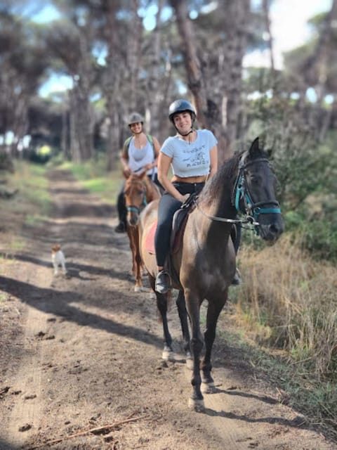Ride in Rome with meal and wine included - What You Actually Need to Ride: Expert-Level Skills and an English Saddle