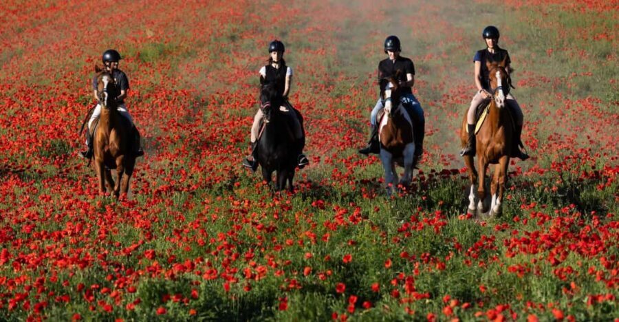 Ride in Rome with meal and wine included - Price and Value: Why $166.53 Can Make Sense Here