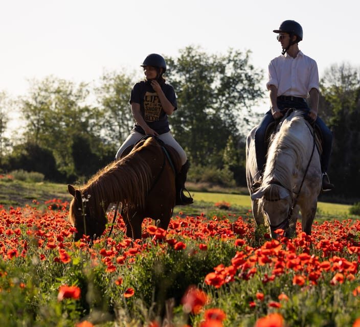 Ride in Rome with meal and wine included - How to Get There: Viale dei Romagnoli and the Easy Setup