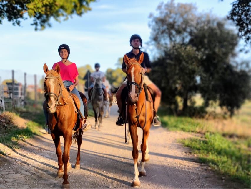 Ride in Rome with meal and wine included - Who This Ride Is For (And Who Should Skip)