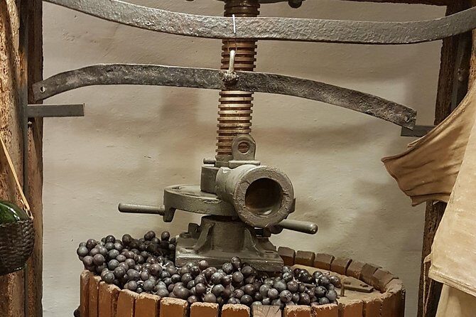Roman Countryside: Wine and Food Tasting, Private Day Tour - Castel Gandolfo to winery time: how the wine stop works
