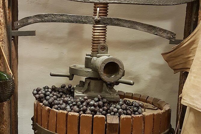 Roman Countryside: Wine and Food Tasting, Semi-Private Day Tour - Via Appia and Castelli Romani: the drive that earns its place
