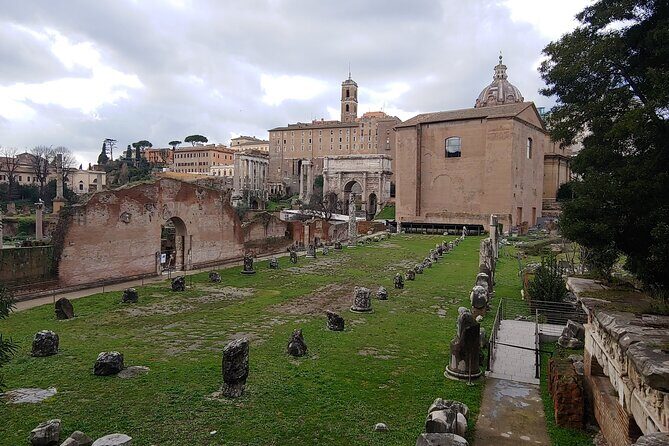 Roman Forum & Palatine Hill Guided Tour - Who should book, and who should reconsider
