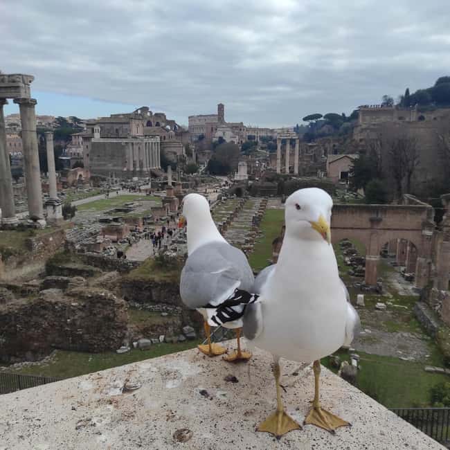 Rome: 4-Hour Private Tour with Driver - Spanish Steps and Palazzo Farnese: fancy facades with substance
