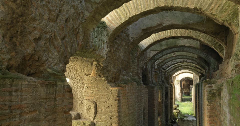 Rome: Ancient History and Colosseum Underground Tour - What makes the Colosseum Underground tour different