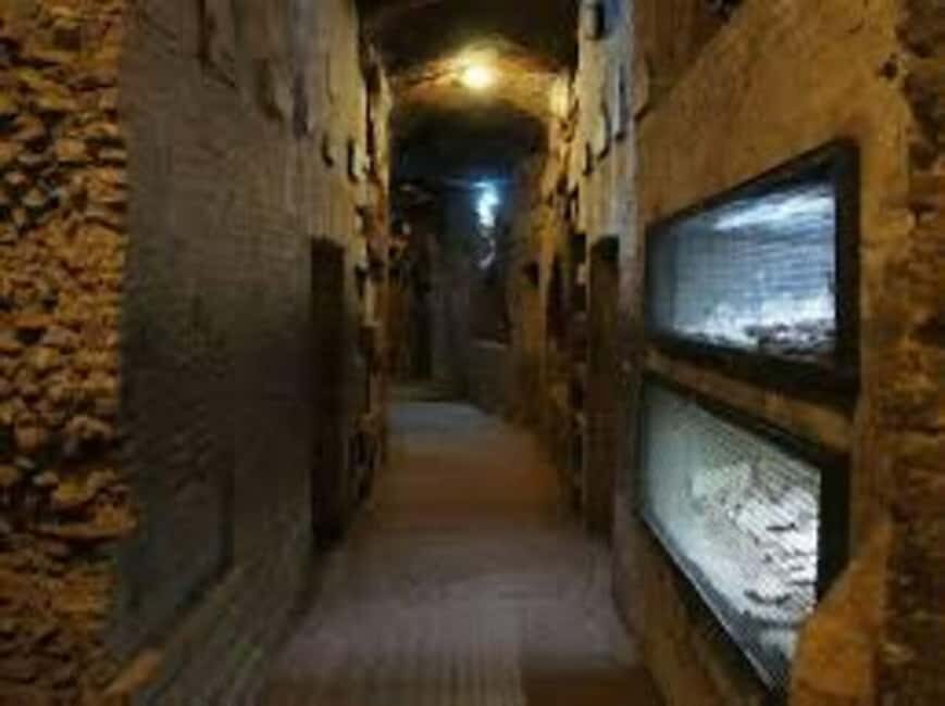 Rome: Appian Catacombs tour with transfere - Price and value: what $89 buys you