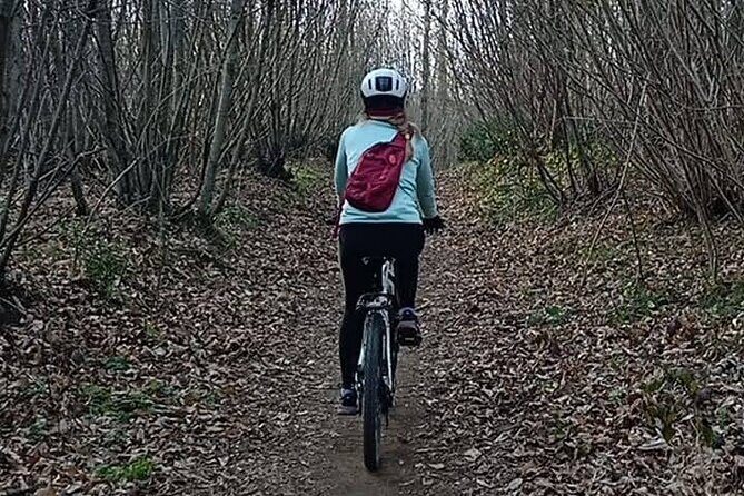 Rome: Castelli Romani Day Trip by Train and E-Bike - Who should book this day trip