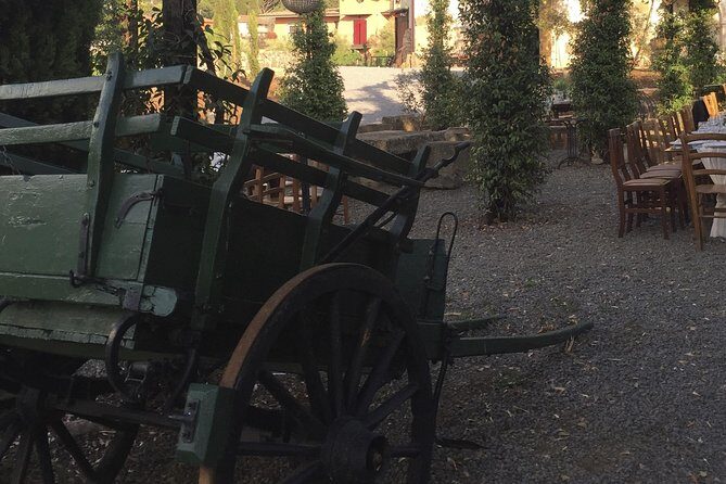 Rome - Castelli Romani Private Wine Tasting - Entering the Historic Winery Since 1712