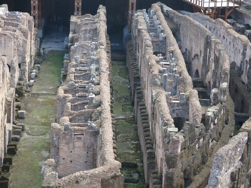 Rome: Colosseum Arena Floor, Roman Forum & Palatine Tour - The arena floor: what makes 20 minutes feel longer
