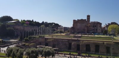 Rome: Colosseum Arena, Forum & Palatine Hill Private tour - Gladiator Door Fast-Track: The Real Value of Skipping Lines
