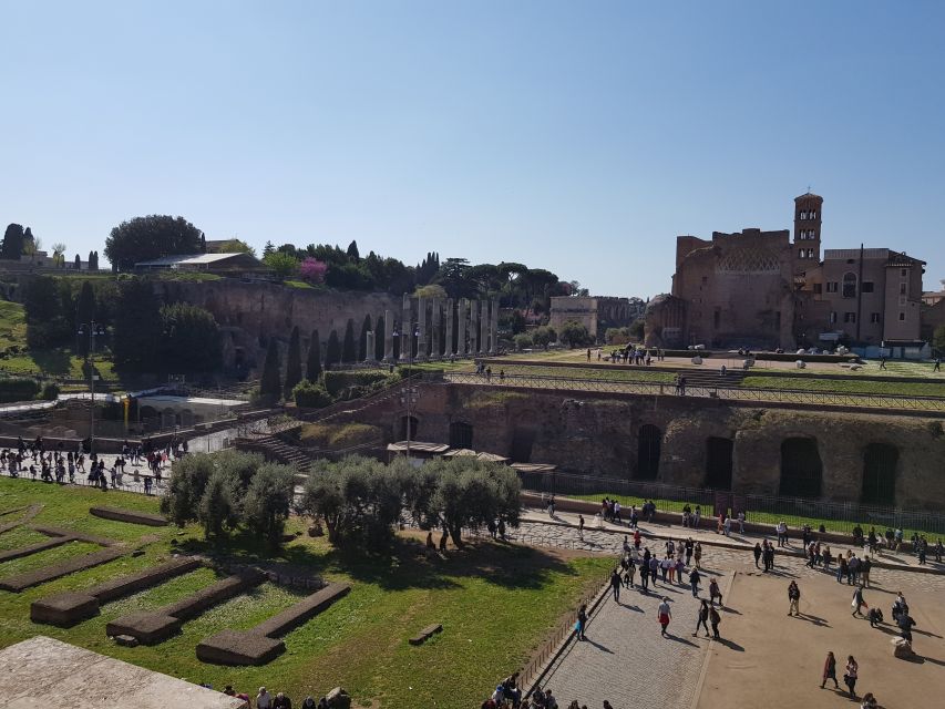 Rome: Colosseum Arena, Forum & Palatine Hill Private tour - Price and Value: What You’re Really Paying For