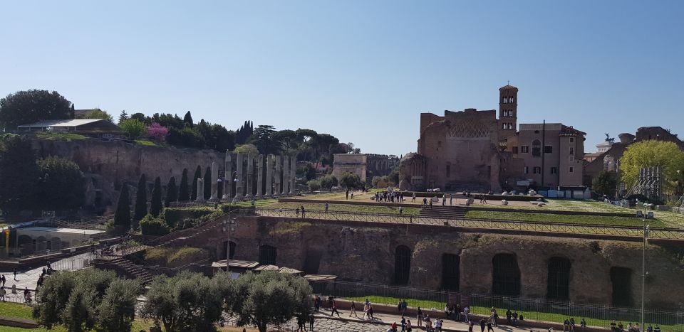 Rome: Colosseum Arena, Forum & Palatine Hill Private tour - Gladiator Door Fast-Track: The Real Value of Skipping Lines