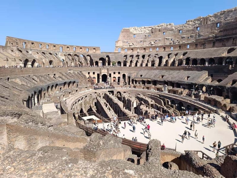 Rome: Colosseum, Forum and Palatine Hill - Key highlights to look for