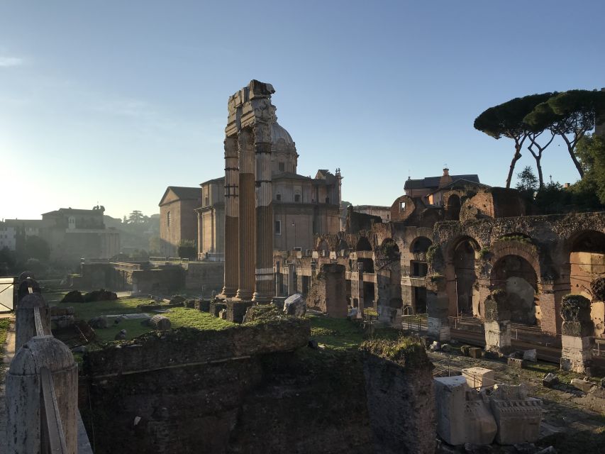 Rome: Colosseum, Forum, and Palatine Hill Guided Tour - Who this tour is best for