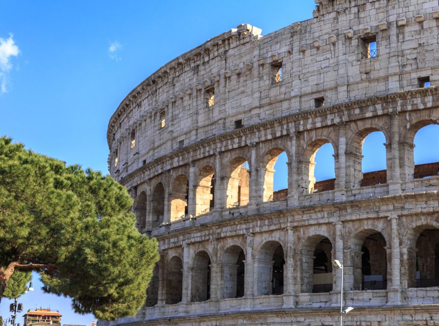 Rome: Colosseum, Forum and Palatine Hill Private Guided Tour - Comfort, pace, and what you can bring inside