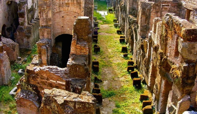 Rome: Colosseum Gladiator's Arena and Roman Forum Tour - Who This Colosseum-Arena + Forum Tour Is Best For