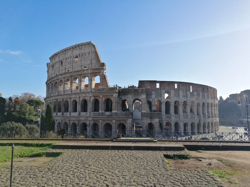 Rome: Colosseum, Underground & Roman Forum Private Tour - Why the Colosseum Underground Changes This Visit