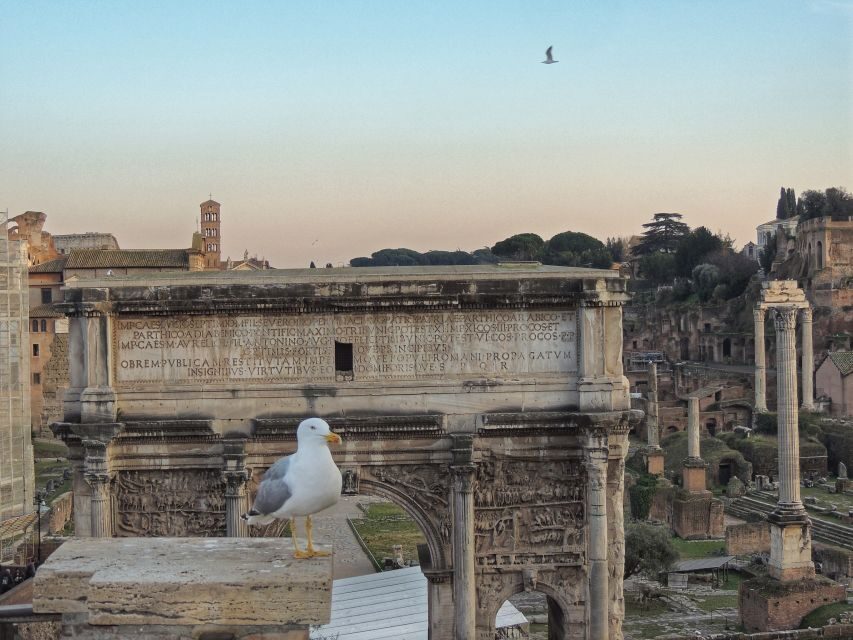 Rome: Colosseum with Arena Floor, Forum & Palatine Hill Tour - Key points before you go