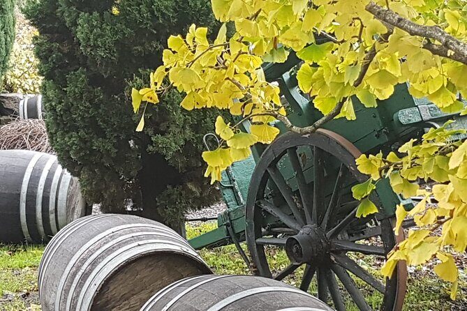 Rome Countryside Delights: Exclusive Wine Tasting Tour - Inside the family winery: what you should expect to learn