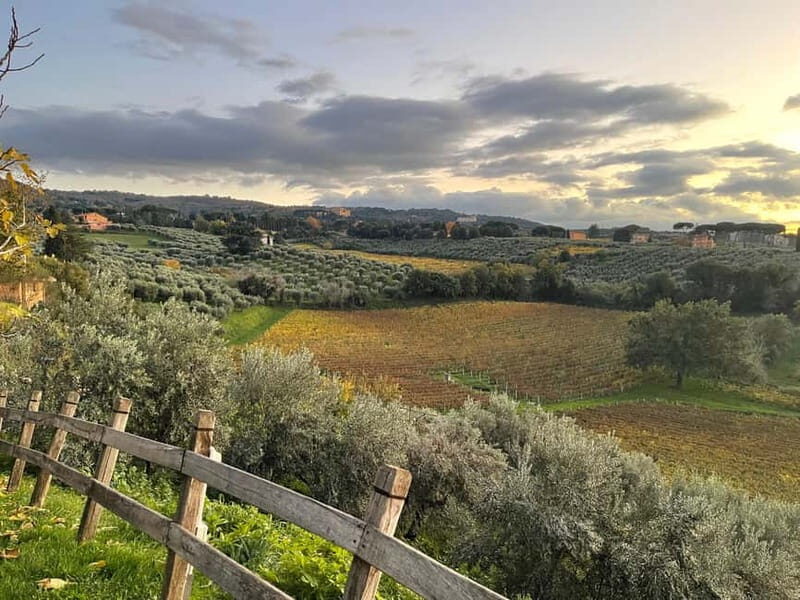 Rome Countryside: Wine Tasting Tour with Private Driver - Key highlights to expect