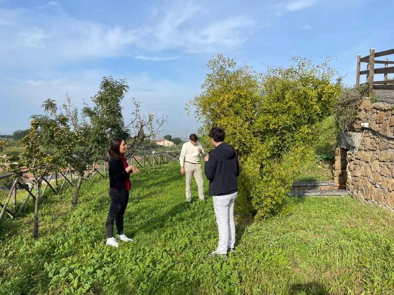 Rome Countryside: Wine Tasting Tour with Private Driver - Food pairings that actually help: cheeses, cured meats, olives, and bread