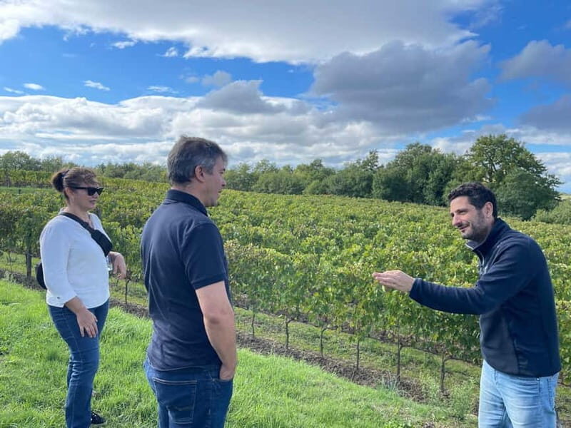Rome Countryside: Wine Tasting Tour with Private Driver - Olive oil and organic touches: extra layers beyond wine