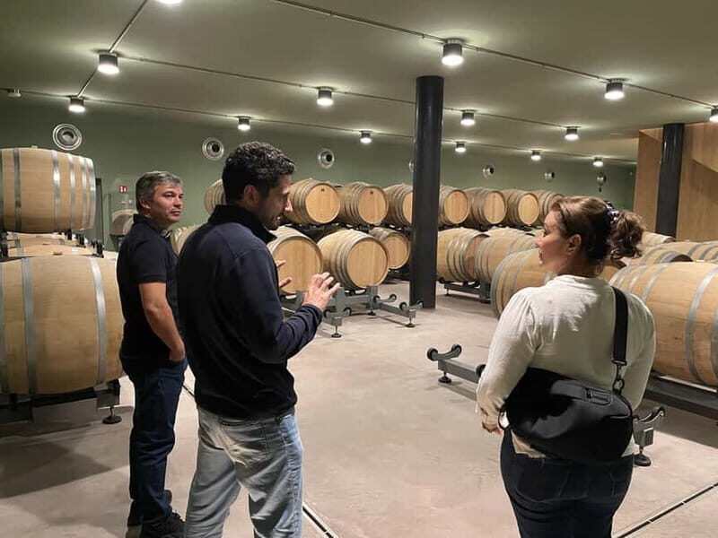 Rome Countryside: Wine Tasting Tour with Private Driver - Time plan: what you’ll do in 3 hours (and what that means for your schedule)