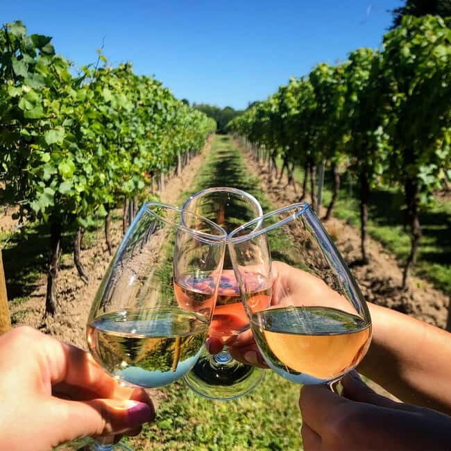 Rome Countryside: Wine Tasting Tour with Private Driver - Private driver logistics: hotel pickup that actually keeps your day sane