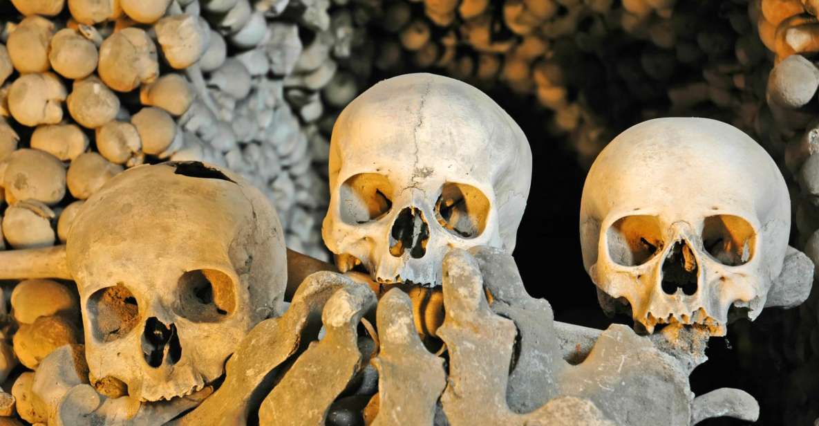 Rome: Dark Past Walking Tour with Capuchin Crypt Ticket - Trevi Fountain: coin-toss myth meets the real crowd problem