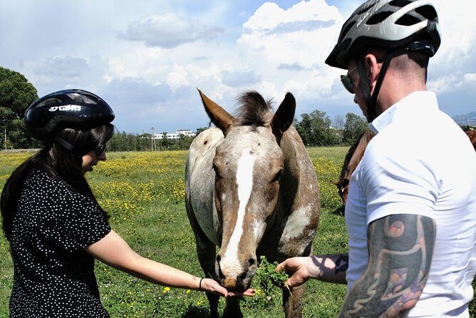 Rome EBike Tour: Appian Way, Catacombs & Roman Aqueducts - Circus of Maxentius and the Appia Way monuments you can spot easily