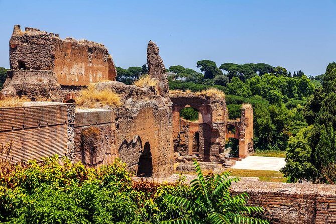 Rome Exclusive Caracalla Bath Private Guided Tour VIP Entry - Meeting at Viale delle Terme di Caracalla and how the 90 minutes work