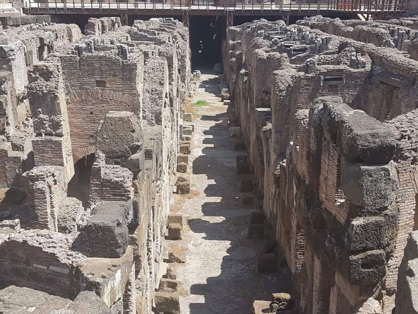 Rome: Explore the Colosseum and Roman Forum, Half-Day Tour - Price, value, and what you’re actually paying for