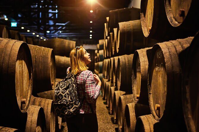 Rome: Frascati Private Day Trip - Town Tour, Lunch & Wine Tasting - The Winery Estate Visit: Cellars, Vineyards, and a Hand-Dug Cave