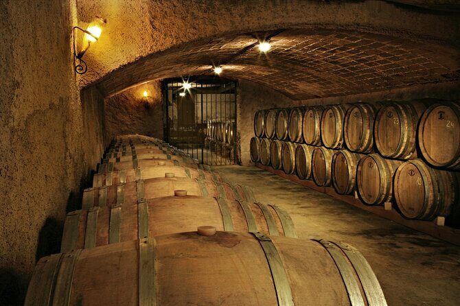 Rome: Frascati Private Day Trip - Town Tour, Lunch & Wine Tasting - Price Check: What You’re Paying for at $207.64