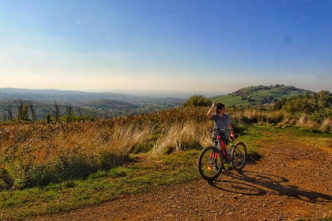 Rome: Frascati Vineyard Bike Tour with Train Tickets - Key highlights to know before you go