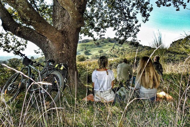 Rome: Frascati Vineyard Bike Tour with Train Tickets - Tuscolo Archaeological Park: time for views and a real change of pace
