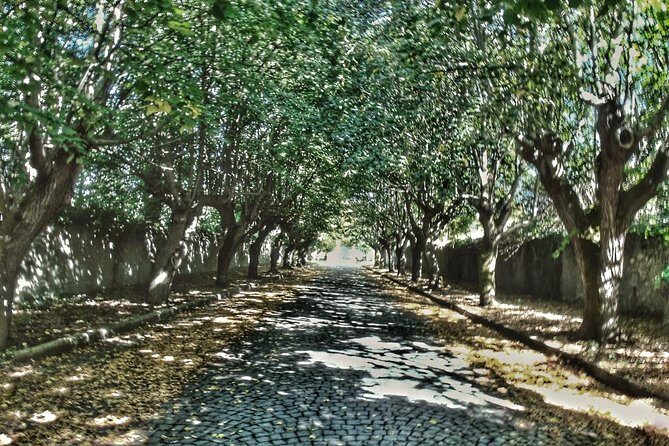 Rome: Frascati Vineyard Bike Tour with Train Tickets - What $176.34 really buys: e-bike, guide, train, and wine