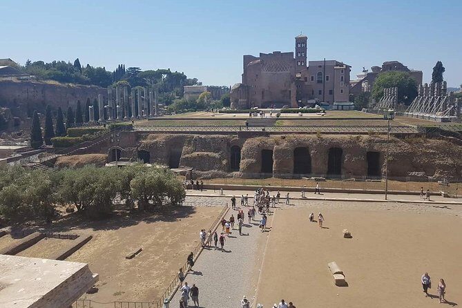 Rome Full Day Tour: Colosseum and Vatican Museums - Lunch stop at Cantina del Duca and the Triumphal Market break