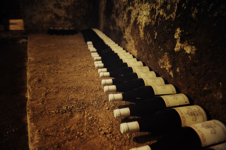 Rome: Guided Italian Wine Tasting Experience - Key highlights you’ll feel in the tasting room